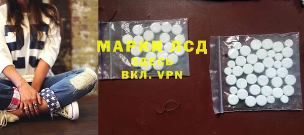 прущие грибы Зерноград