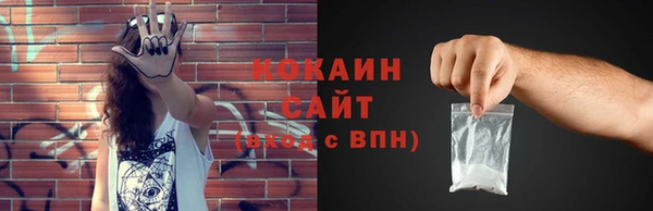 прущие грибы Зерноград