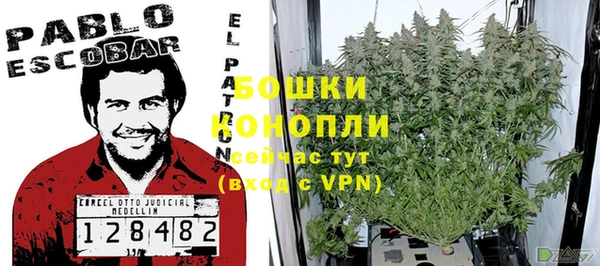 прущие грибы Зерноград