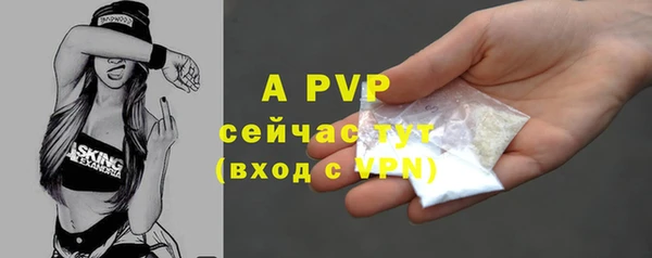 прущие грибы Зерноград