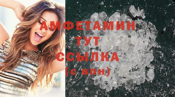 прущие грибы Зерноград