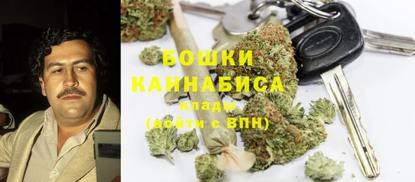 прущие грибы Зерноград