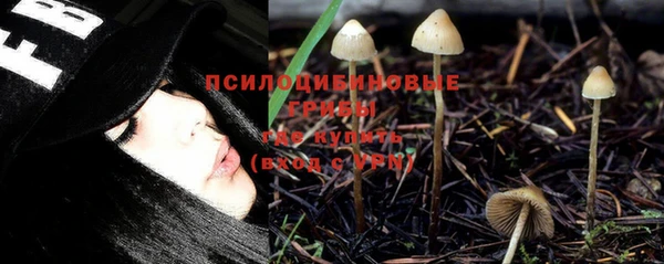 эйфоретик Зеленодольск