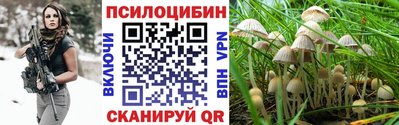 Галлюциногенные грибы мухоморы  Купить закладки  Камызяк 